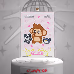 Chimpi