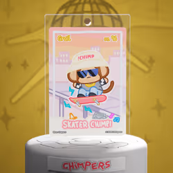 Skater Chimpi