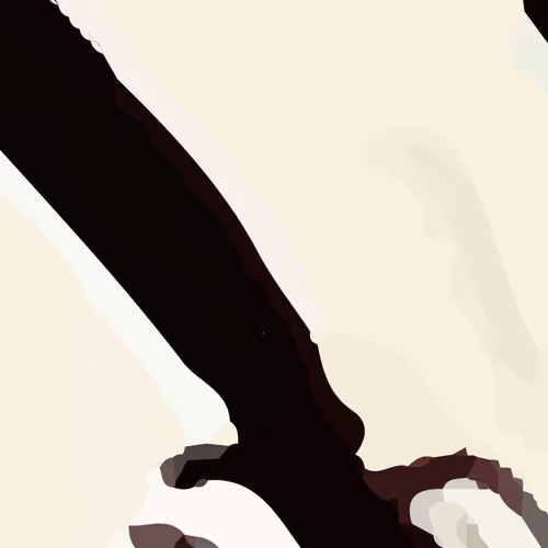 Gabo Fragments Society