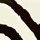 556