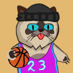 26