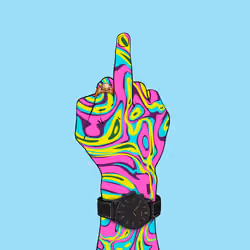 FVCK #5301