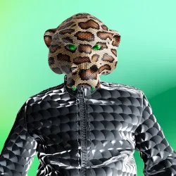 231