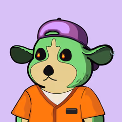 Bush Babies #2448