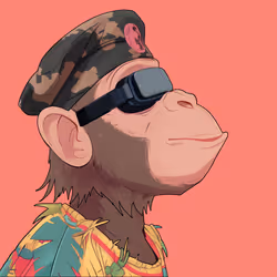 641
