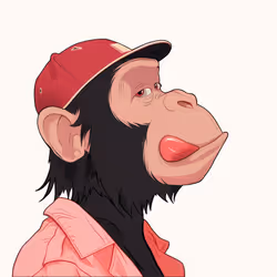 2633