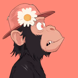 256