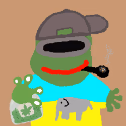 529