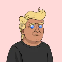 President Trump 2024 #2425