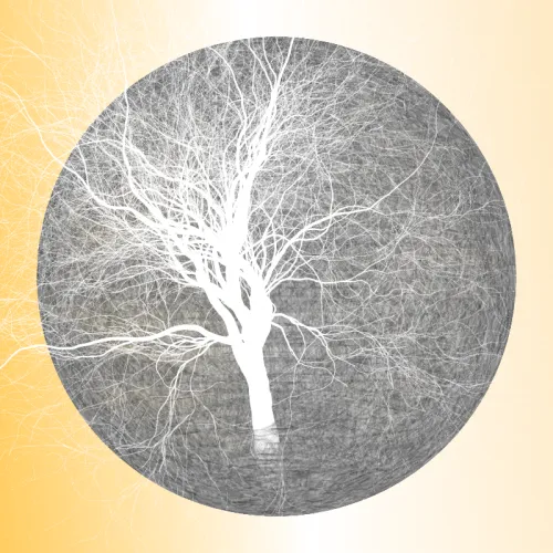 Ape Wisdom Tree #220