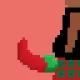 DoNgSoCKs