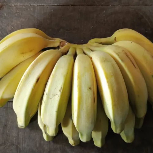 Ape Banana #297