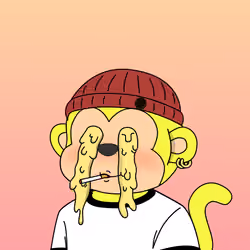 Le Scimmie #1050