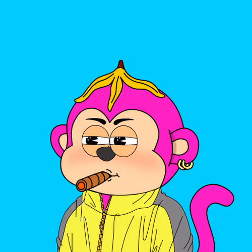 Le Scimmie #1479
