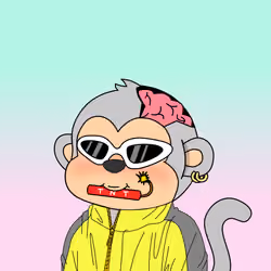 Le Scimmie #414