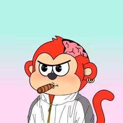 Le Scimmie #519