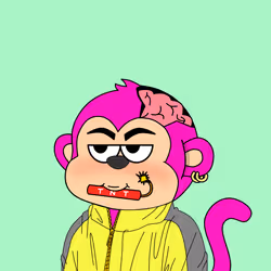 Le Scimmie #2296