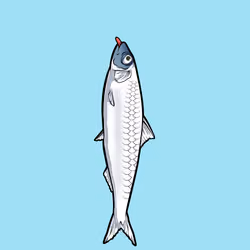 Fishies #2409