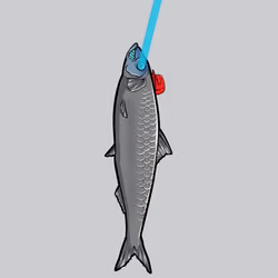 Fishies #2452