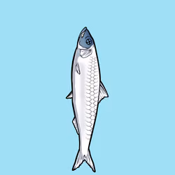 Fishies #4353