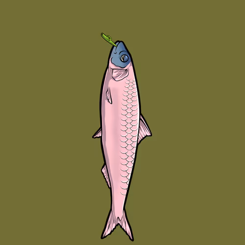 Fishies #4311