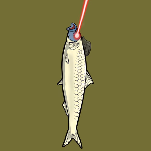 Fishies #4108