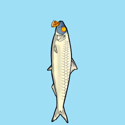 Fishies #1335
