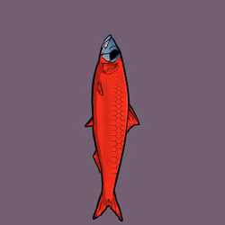 Fishies #4707