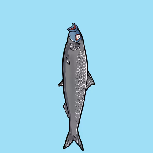 Fishies #3965
