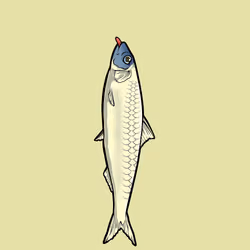 Fishies #4052