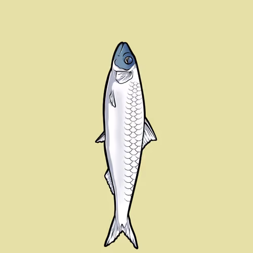 Fishies #171