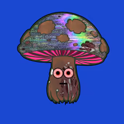 4817