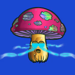 4916