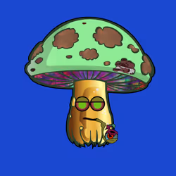 1072