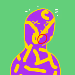 529