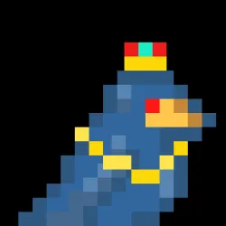 807