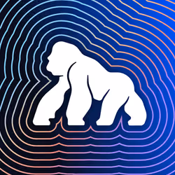 ApeChain x Rarible # 339