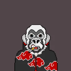 Kong Initiative #687