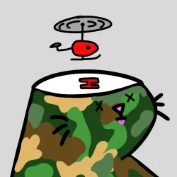64