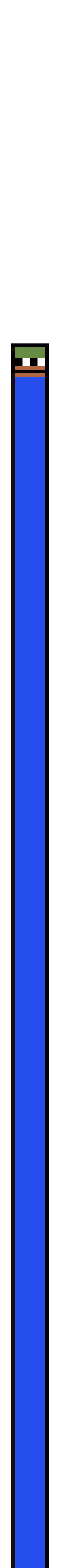 Item #35 Media