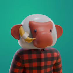 Kongs #1354