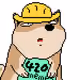 5381