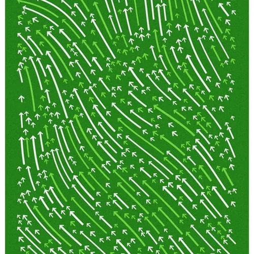 80