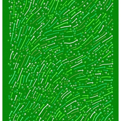 51