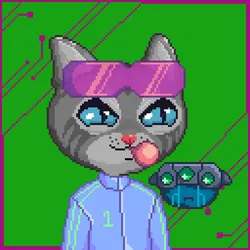 Meowki Genesis #13