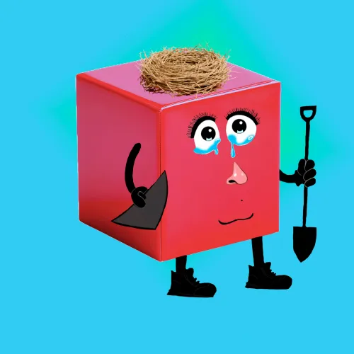 CrazyCube #1651