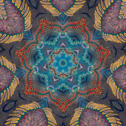 Portals #0379