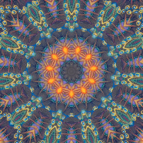 Portals #0604