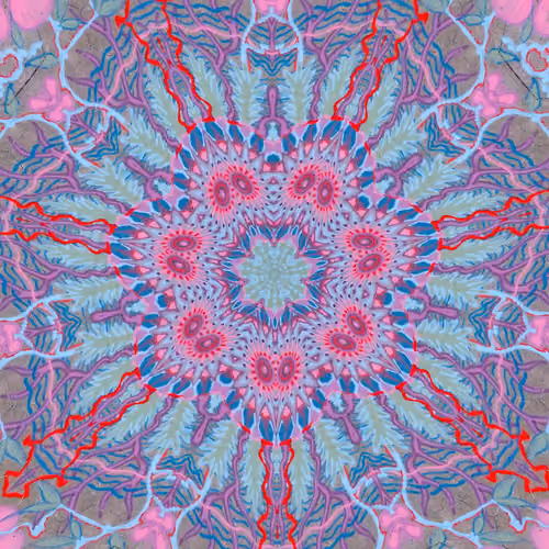 Portals #0975