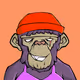 Old Rilla